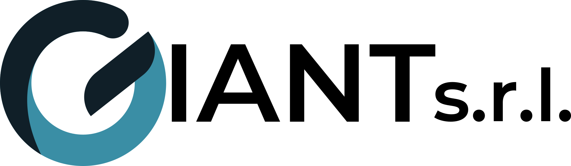 Giant s.r.l.